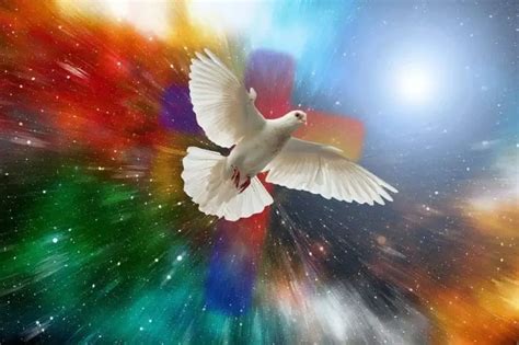 Dove Symbolism & Pigeon Meaning - Luciding Dream Dictionary