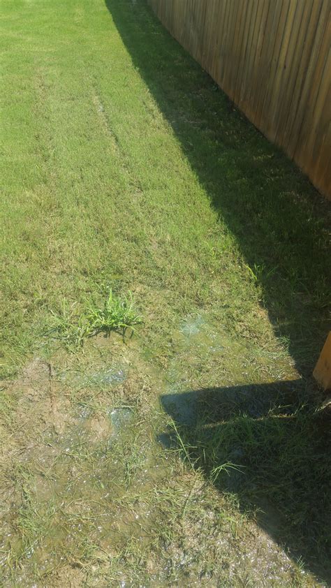 Top 154 Complaints and Reviews about Centex Homes