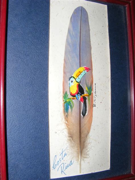 Hand painted Toucan feather | Feather painting, Feather art, Hand painted