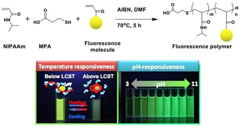 Polymers Free Full Text Fluorescent Polymers Conspectus