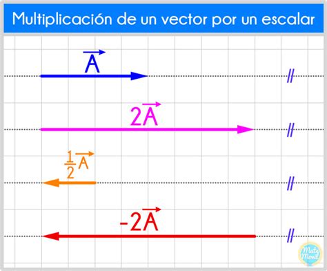 Multiplicación De Un Vector Por Un Escalar Matemóvil