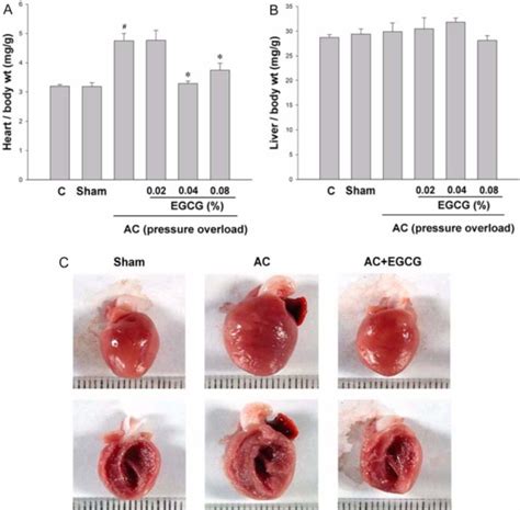 Inhibition Of Pressure Overload Induced Cardiac Hypertrophy In Vivo By