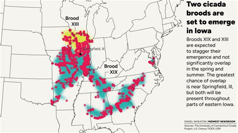 Billions Of Cicadas Are Coming To The Midwest This Spring Don’t Panic Iowa Public Radio