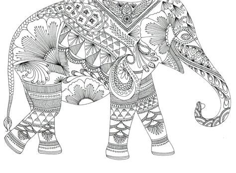 Elephant Adult Coloring Pages At Getdrawings Free Download