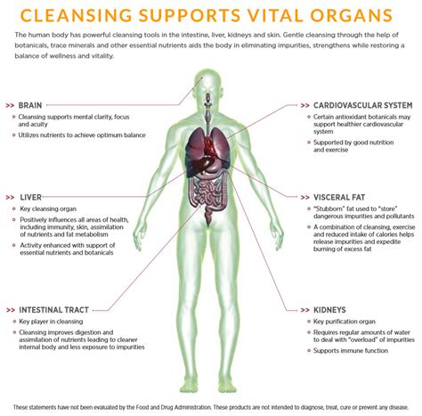 Cleanse For Life Nutritional Cleansing 30 Day Cleansea Less Toxic Life