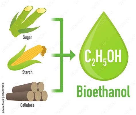 Vetor De Biofuel Biomass Ethanol Made Form Sugar Starch Cellulose