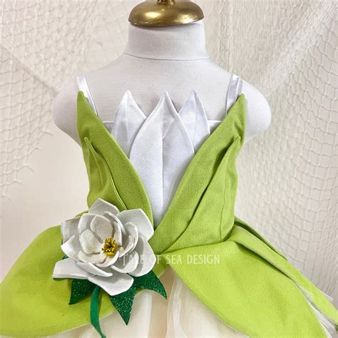 The Frog Princess Costume, Princess Birthday Party Themed - Etsy