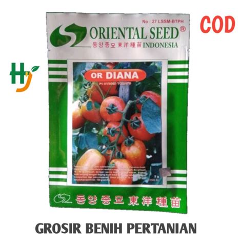 Jual Benih Biji Tomat OR Diana Dari Oriental Seed Isi 1500 Butir