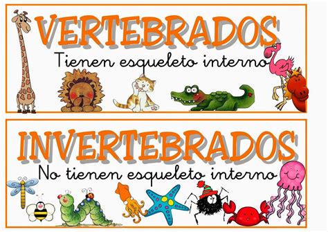 Vocabulario En Im Genes Maestra De Infantil Y Primaria Carteles Con