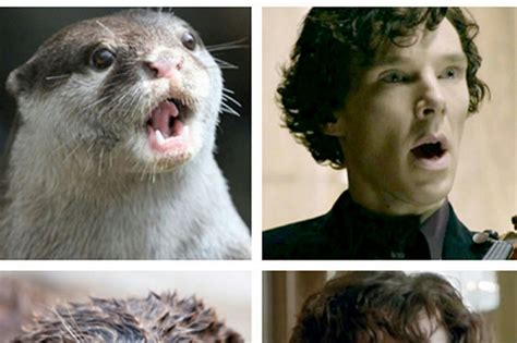 QHolmes • Good morning. A little otter meme to start the...