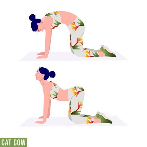 Cat Cow Yoga Pose | Cat cow pose, Cat cow yoga pose, Cow pose