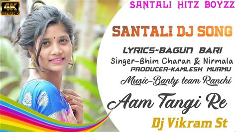 Aam Tangi Re New Santali Dj Song New Santali Video Dj