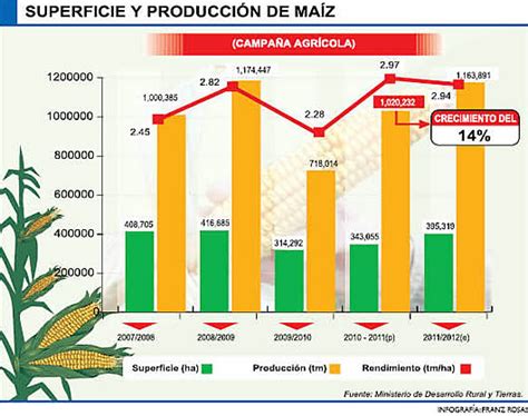 Producción De Maíz Dejará Un Excedente De 341 Mil T