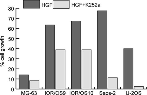 Role Of The Met Hgf Receptor In Proliferation And Invasive Behavior Of