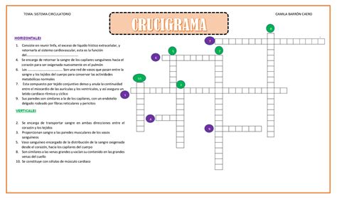 Crucigrama De Sistema Circulatorio Esquemas Y Mapas Conceptuales De Histología Docsity