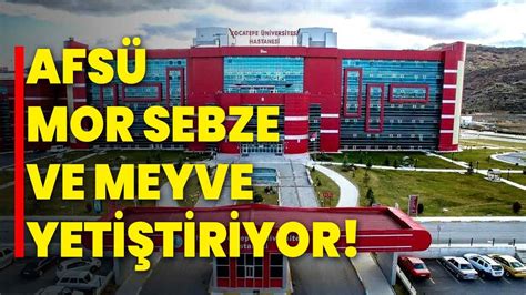 Afs Mor Sebze Ve Meyve Yeti Tiriyor Afyon Haber Odak Gazetesi Son