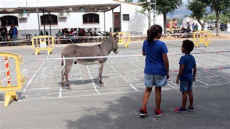 Cag Del Burro Archivos Valenciabonita