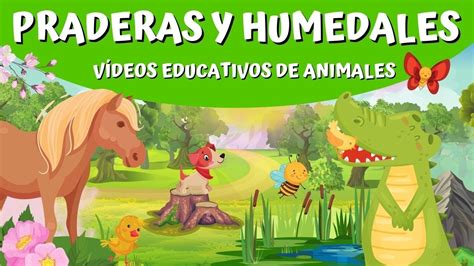 Animales de PRADERAS y HUMEDALES: ¿cuáles son? - YouTube