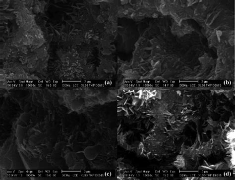 Scanning Electron Micrographs Of Cements Of A Series After Days In