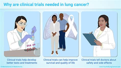 Slide Show Understanding Clinical Trials In Lung Cancer