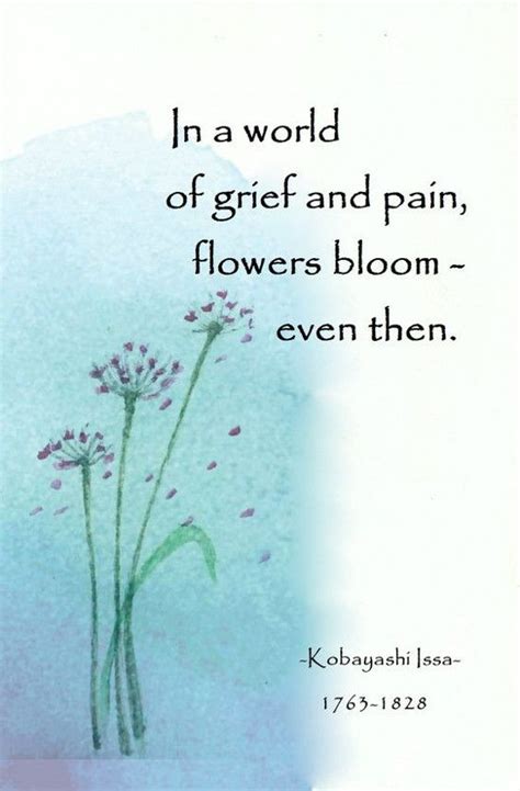 Flowers Bloom Haiku Poems Haiku Poetry Zen Quotes