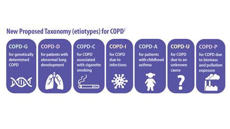 Copd Guidelines 2023 Images