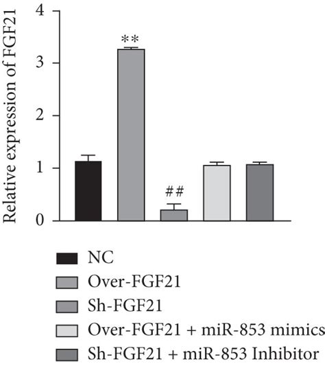 Overexpression Of Fgf21 Promoted Crc Cell Proliferation Migration And