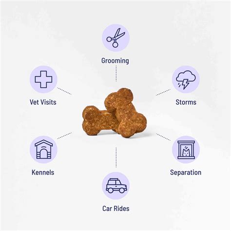 Calming Chews for Dogs | ElleVet Sciences
