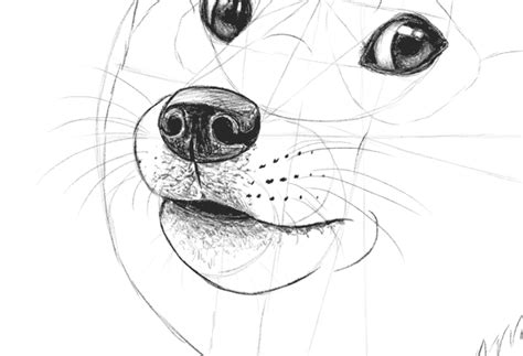 Such Tutorial, Many Fun: How to Draw Doge!