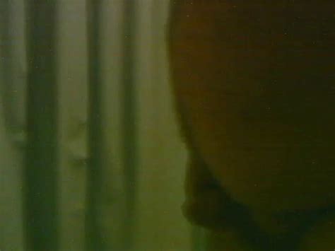 Fat Guy Small Dick Gay Man Man Porn XHamster