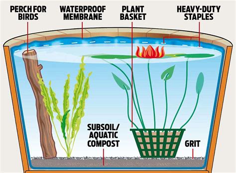 Monty Don Shows How To Create A Wildlife Pond For Your Garden Or Patio