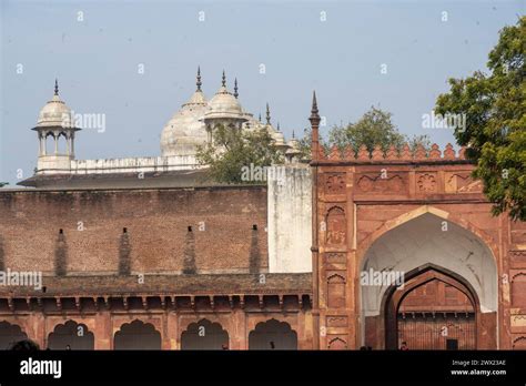 Indien Agra Agra Fort Moti Masjid Stock Photo Alamy