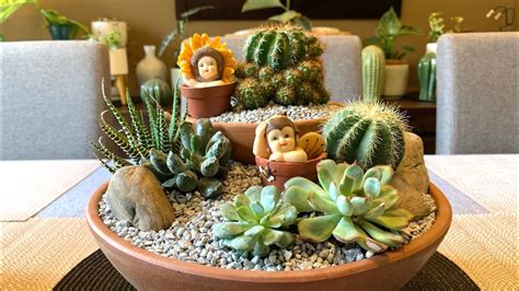 Cacti And Succulents Two Tier Arrangement Youtube Cacti And Succulents Succulents