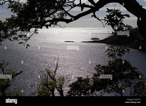 Tui Tai Adventure Cruises Fiji Islands Cobia Island Ringgolds Stock