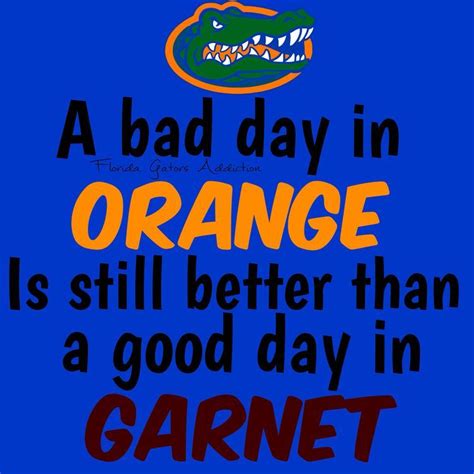 College Football Humor, Florida Gators Football, Football Memes, Gator ...