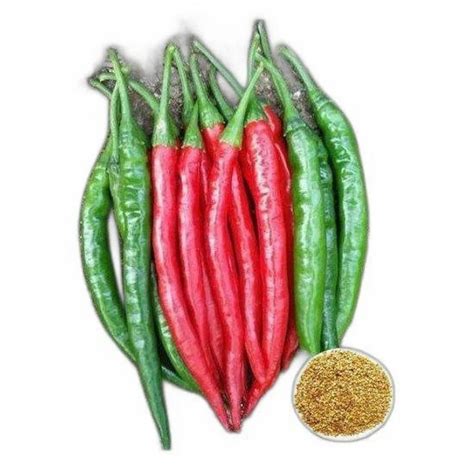 Organic Hybrid Chilli Seed Packaging Type Packet Packaging Size