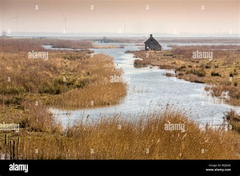 The Netherlands Tiengemeten A Deserted House On The Island Of