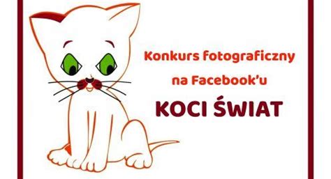 Konkurs Fotograficzny Koci Wiat M Odzie Owy Dom Kultury