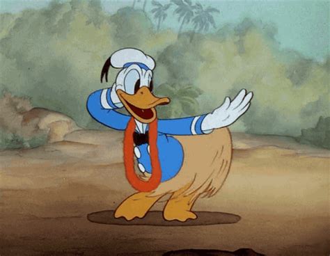 Ada Conti Disney  Donald Duck Disney Duck