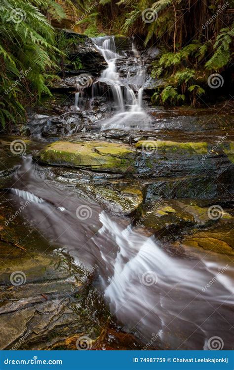 Waterfalls in Blue Mountains National Park Stock Image - Image of ...