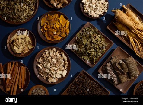blue background   types  traditional medicine