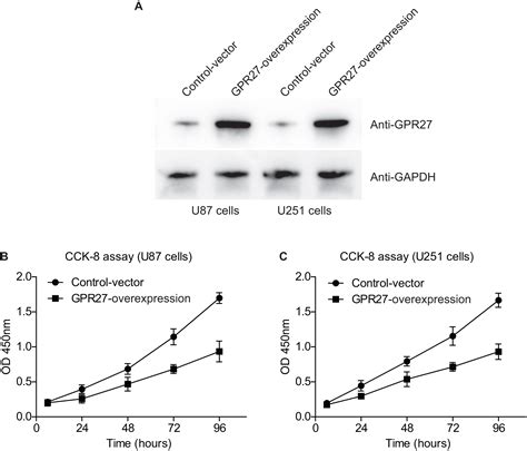 Gpr Expression Correlates With Prognosis And Tumor Progression In