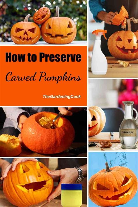 How To Preserve Your Carved Pumpkins To Make Them Last Longer Preserve Carved Pumpkin Pumpkin