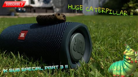 K Sub Special Part Jbl Flip Cn Bass Test With Huge Caterpillar