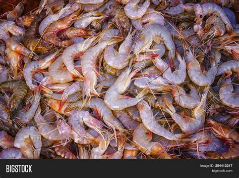 Fresh Prawns Pile Raw Image Photo Free Trial Bigstock