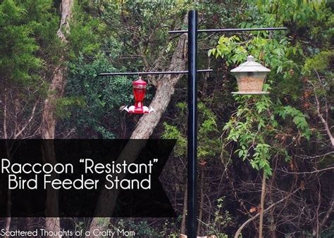 How to Make a Raccoon "Resistant" Bird Feeder Stand - Scattered ...