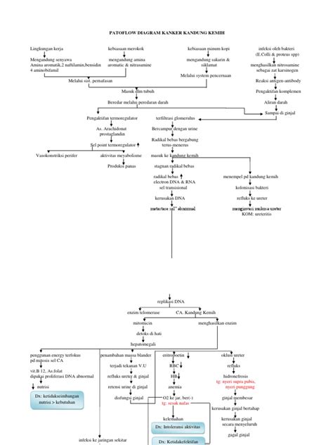 Patoflow Diagram Kanker Kandung Kemih Pdf