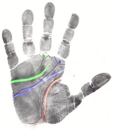 What Do We Really Know About The Lines In The Palm Of Our Hands 10