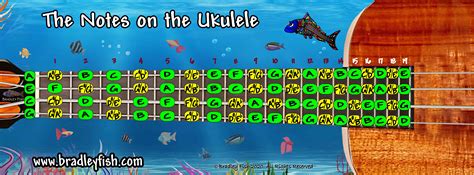 Ukulele Fretboard Chart Archives - Bradley Fish