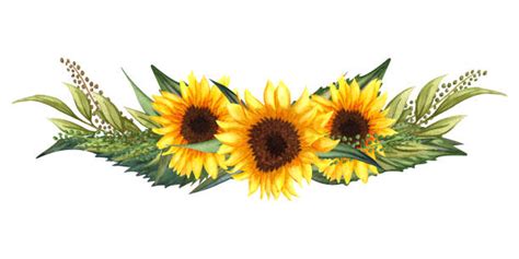 Sunflower Clipart Border